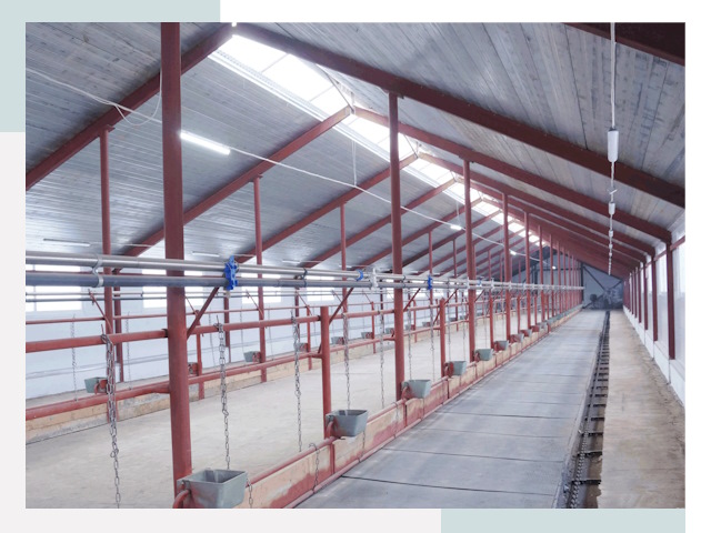 Строительство коровников в Тулуне от 647 руб.