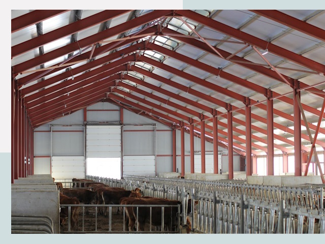 Строительство коровников в Тулуне