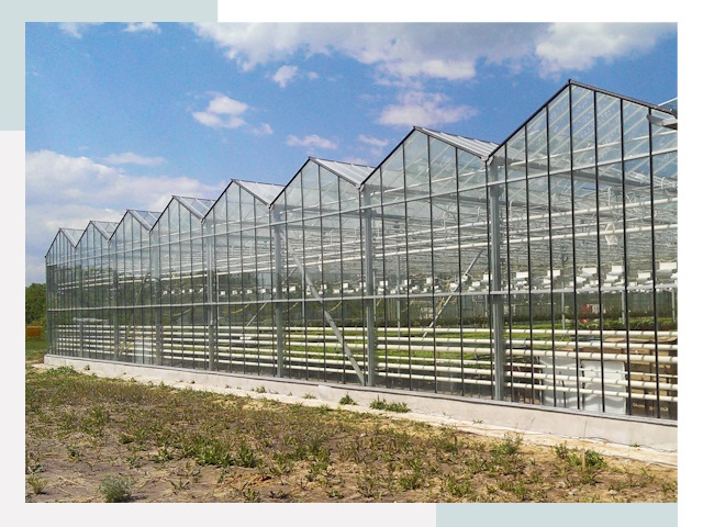 Строительство теплиц в Тулун от 647 руб. за м²